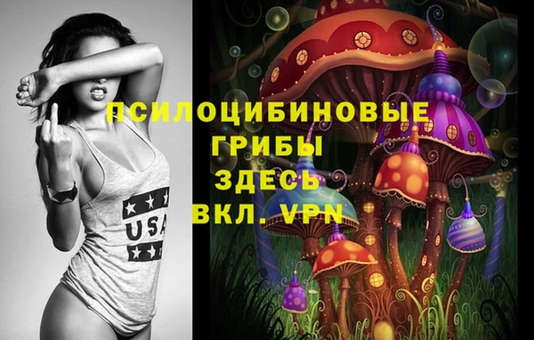 apvp Краснотурьинск