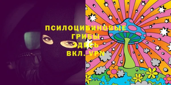 гидра Костерёво