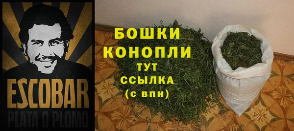 гидра Костерёво