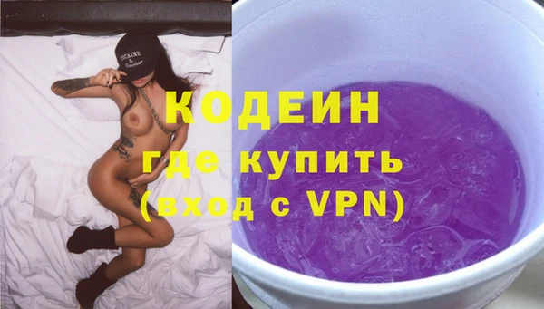 дживик Краснослободск