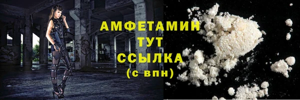 дживик Краснослободск