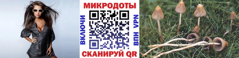 Галлюциногенные грибы Magic Shrooms  Таруса 